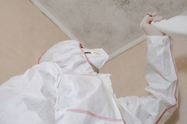 Best Commercial Mold Removal  in Lely Resort, FL