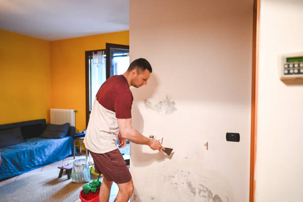 Best Residential Mold Removal  in Lely Resort, FL
